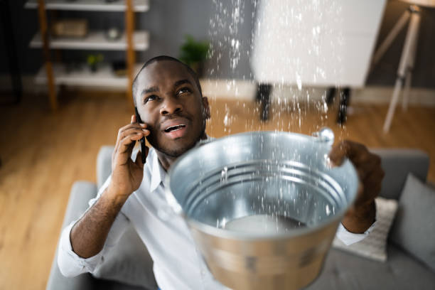 Best 24-hour water damage restoration  in Lake Ridge, VA