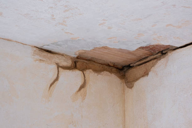  Lake Ridge, VA Water damage restoration Pros