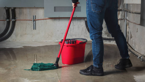 Best Water damage restoration company  in Lake Ridge, VA