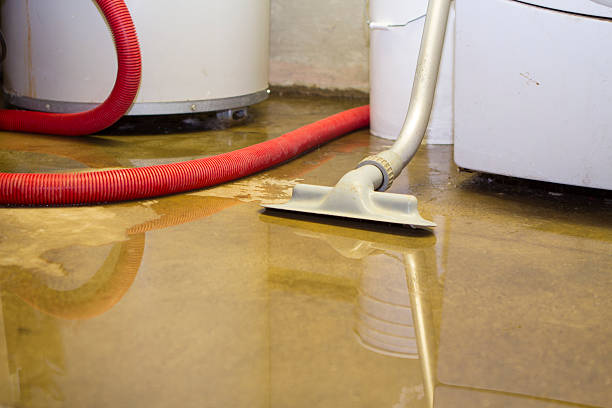 Best Ceiling water damage repair  in Lake Ridge, VA